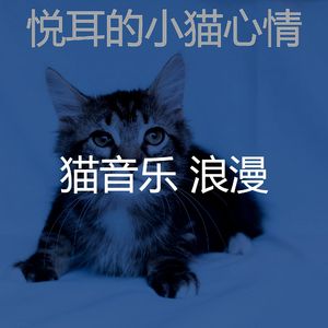 抚慰的猫回忆