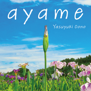 ayame