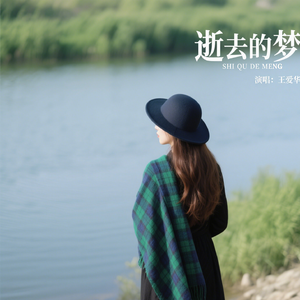 逝 去 的 梦 ( 治愈版)