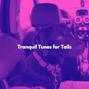 Soulful Waltz - Vibe for Dogs and Walk