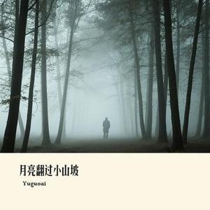 及时止损 (Cover 橘子妹)