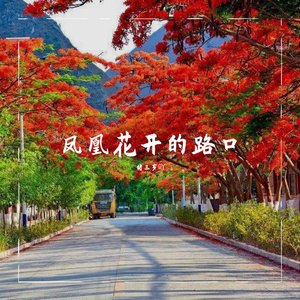 凤凰花开的路口（demo）