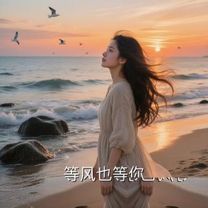 等风也等你