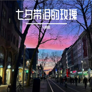 七夕带泪的玫瑰