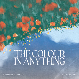 The Colour in Anything