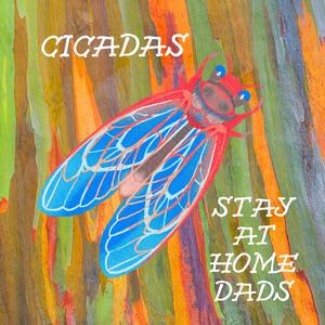Cicadas