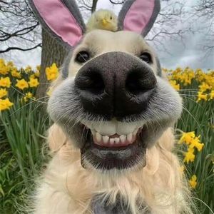 heartbeat（Prod . Xouns）