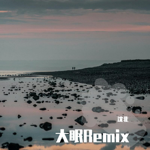 大眠Remix(Prod By Ljx Ghost）（翻自 王心凌）