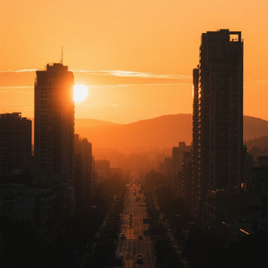 オレンジ色のきみに会いたい