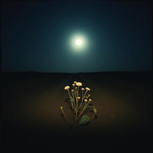 Luz de luna