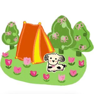 遇见你的时候所有星星都落到我头上