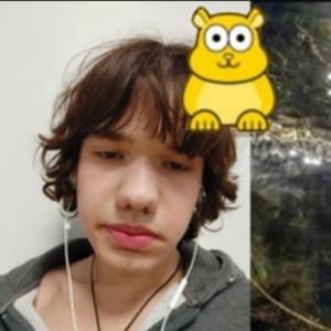 Dj сашок 228 дурацкое имя, стоит придумать что-то посерьёзнее