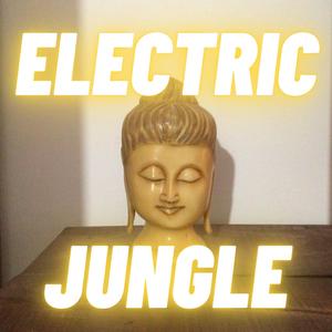 Electric Jungle (feat. Marco Serra & The Ninth Chord)