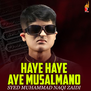 Haye Haye Aye Musalmano