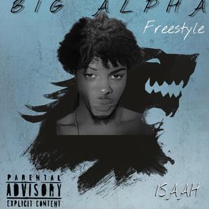 Big Alpha Freestyle