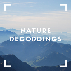 Light Rain Jungle Atmosphers