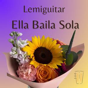 Ella Baila Sola - Guitar Cover