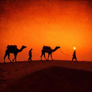 Крыша Поехала