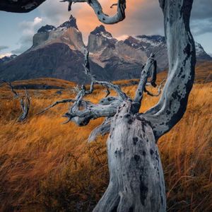 at the end of the day