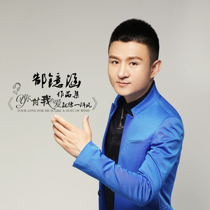 你对我的爱就像一阵风