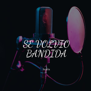 Se Volvio Bandida