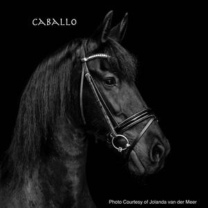 Caballo