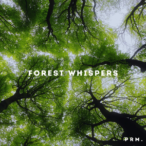 Forest whispers
