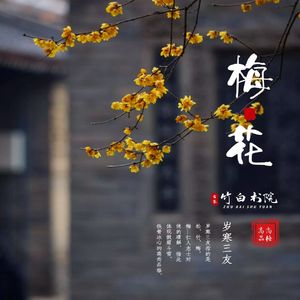 古琴曲《梅花三弄》