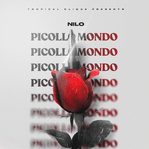 PICOLLO MONDO