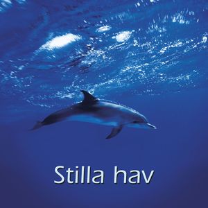 Stilla Hav