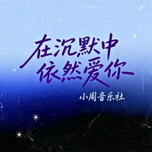在沉默中依然爱你