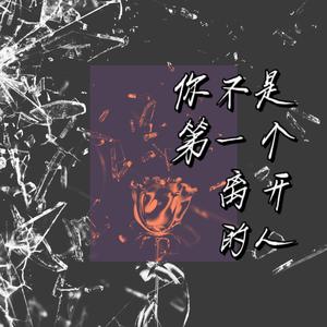 你不是第一个离开的人 (片段）