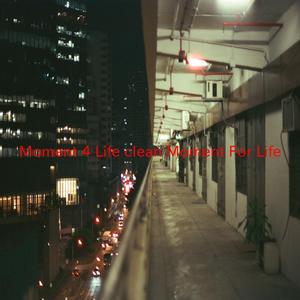 Moment 4 Life (clean) (Moment For Life) (Tribute version originally performed by Nicki Minaj feat. Drake)