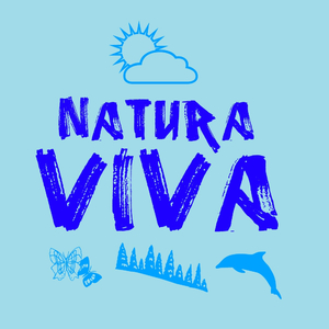 In Stereo!! (Original Mix)