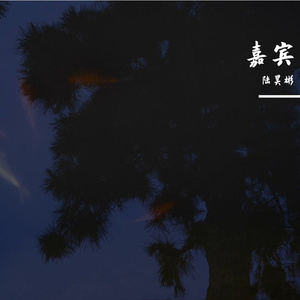 嘉宾（翻自 张远）