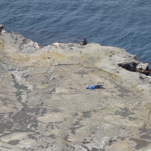 Kин-дза-дза!