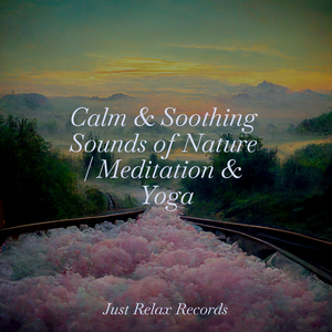 Galactic Pledge of Guardianship