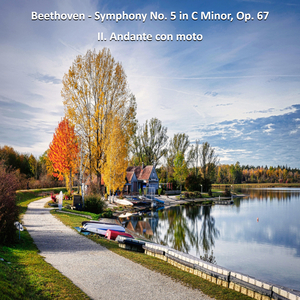 Beethoven - Symphony No. 5 in C Minor, Op. 67 - II. Andante con moto