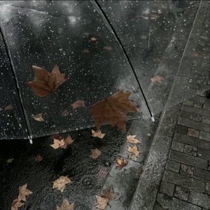 遇见你后的雨天都有人为我撑伞