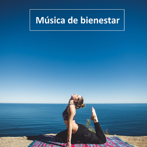 Despertamiento