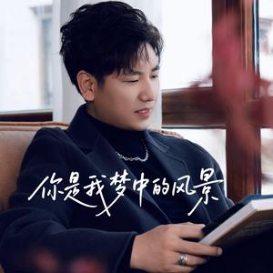 你是我梦中的风景