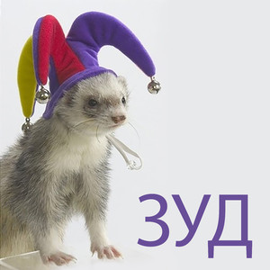 Проездом через Кызылорда без остановок