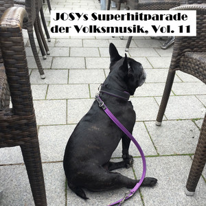 Warum bist du gekommen