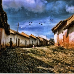 你就是我要找的女人