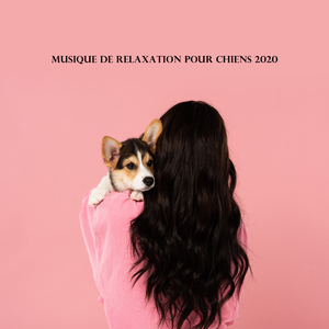 L'heure du coucher du chiot