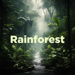 River Frogs (Loopable Relaxing and Healing sounds)