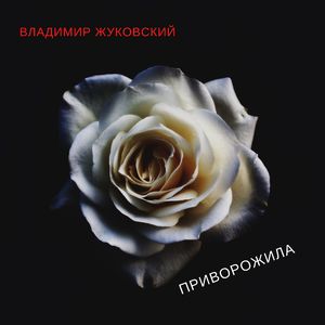 Приворожила