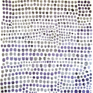 Ka Beljau (The Allophons 7+1 Remix)