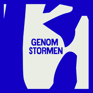 Genom stormen