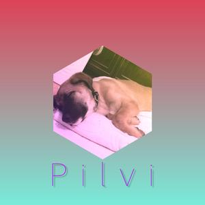 Pilvi